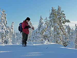 Vissa inventeringar grs bst vintertid. Foto: Louise Vedin.